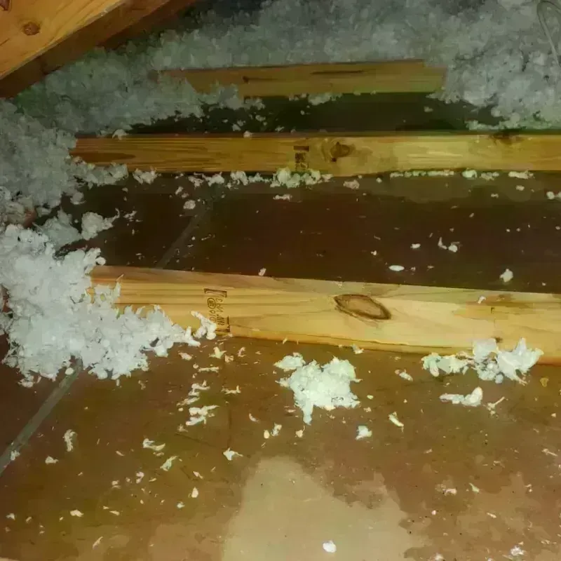 Attic Water Damage in Glasgow, DE